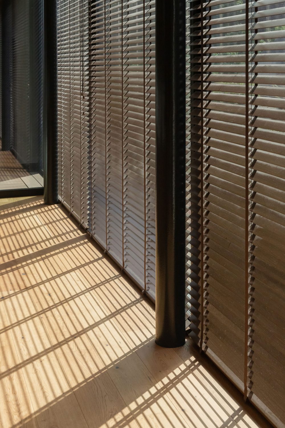 fotografė - Mona Avik