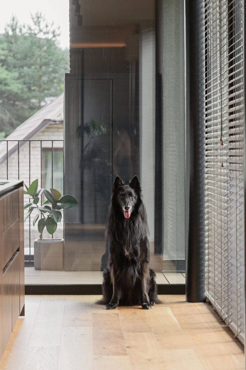 fotografė - Mona Avik