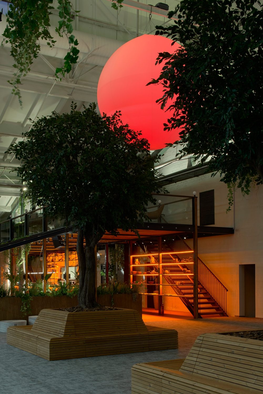 fotografas – Darius Petrulaitis