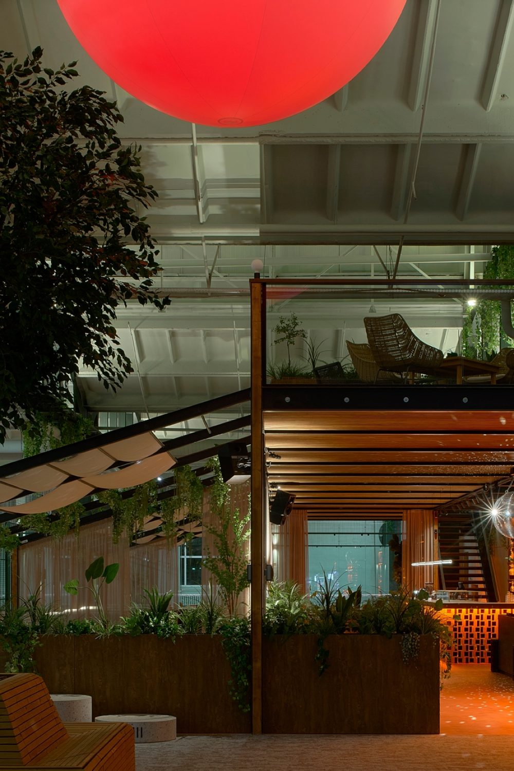 fotografas – Darius Petrulaitis