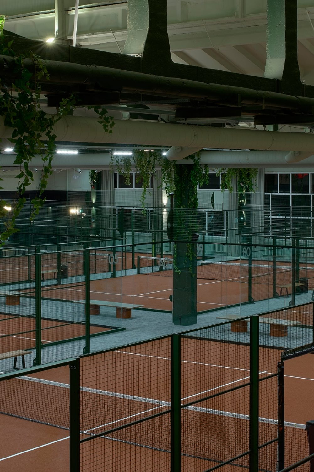 fotografas – Darius Petrulaitis