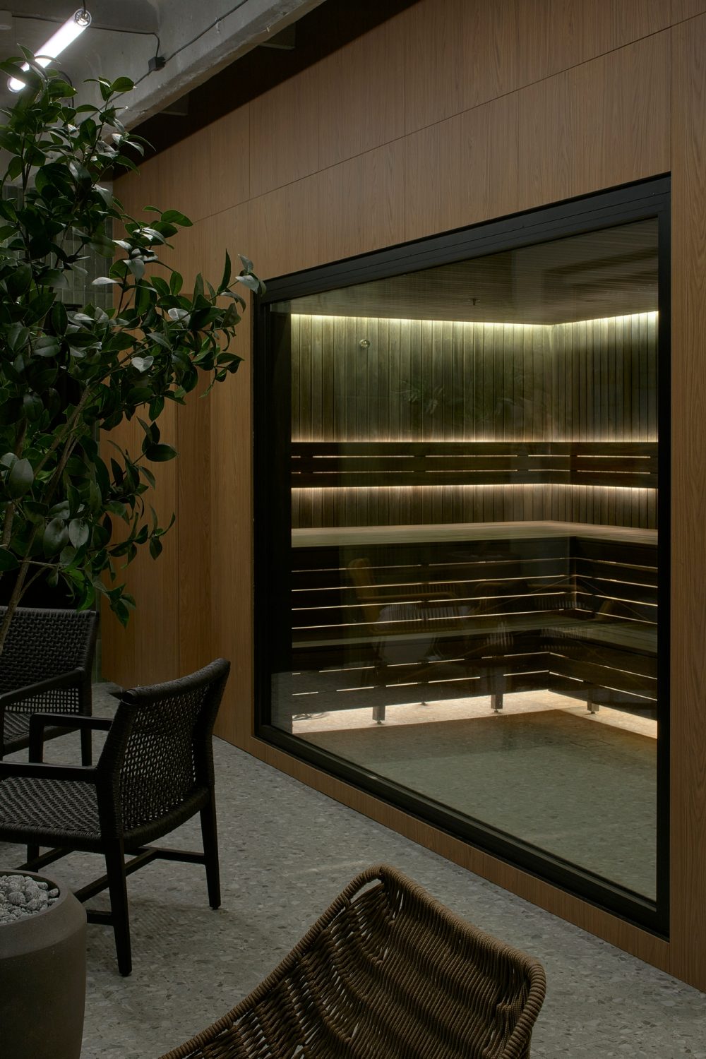 fotografas – Darius Petrulaitis