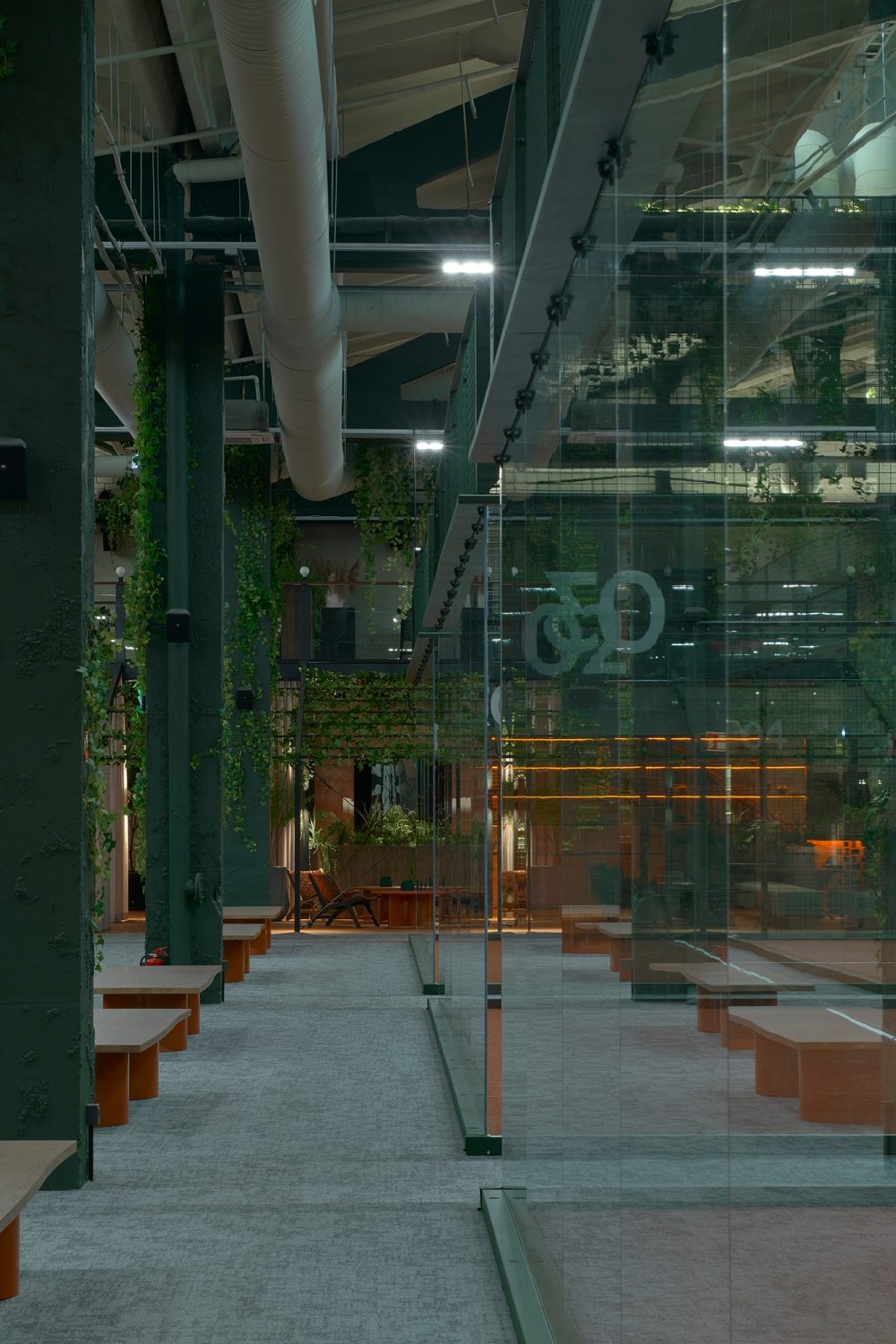 fotografas – Darius Petrulaitis