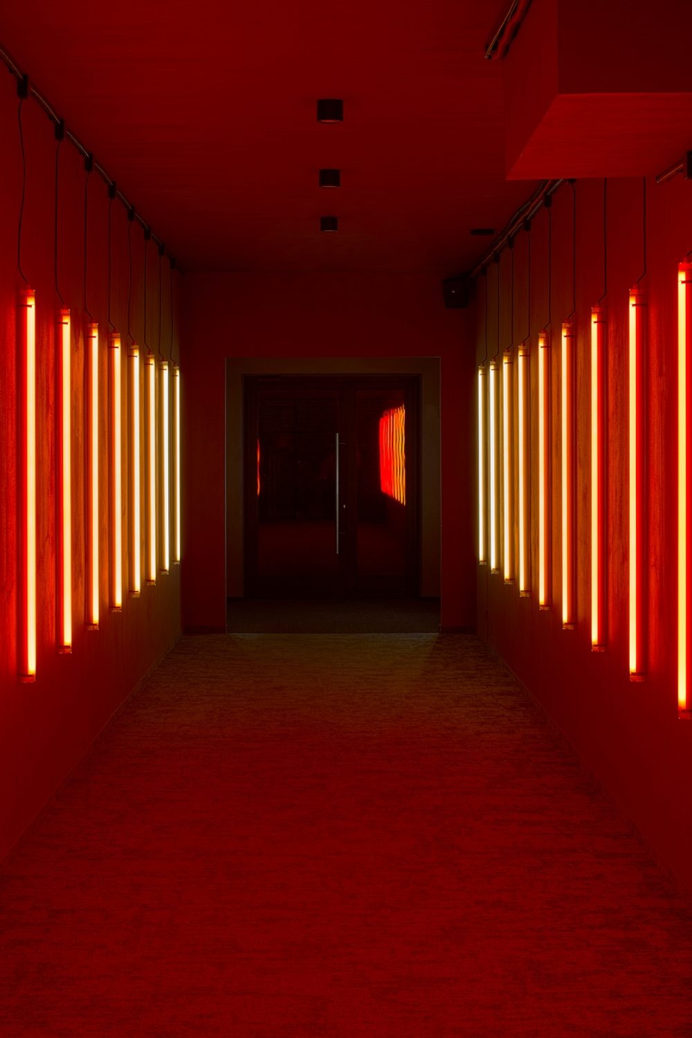 fotografas – Darius Petrulaitis