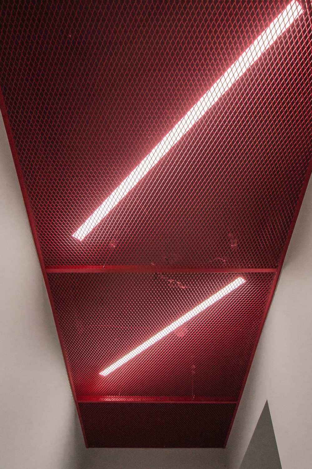 IKURES_skulas-degaline-asigalio_00152